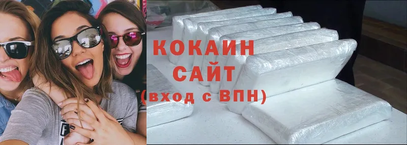 ссылка на мегу зеркало  Ивдель  Cocaine Fish Scale 